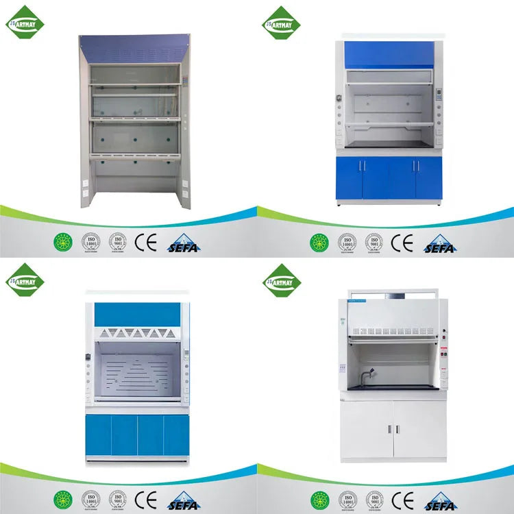 Customised Bioscience Laboratory Furniture Exhaust Cabinet Small Ductless Fume Hood for Chemical Equipment