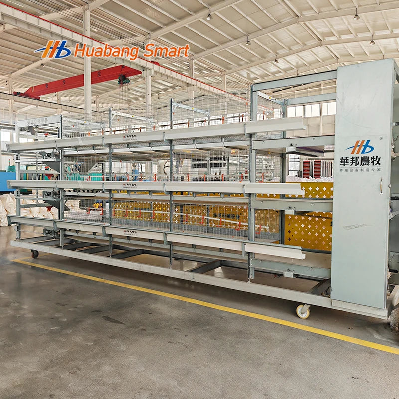 Commercial Broiler Chicken Cages Poultry Cage Modules Fully Automatic Broiler Cage System Large Scale Farm Use
