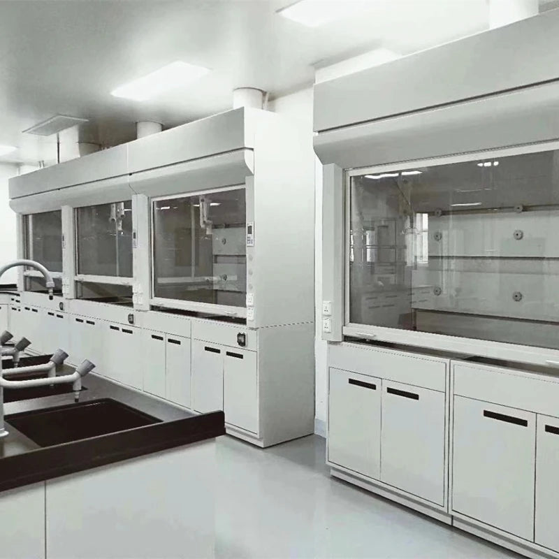 Modern Industrial Steel Laboratory Ventilation Hood Corrosion-Resistant Ducted Fume Chamber Hospital Biology Factory University