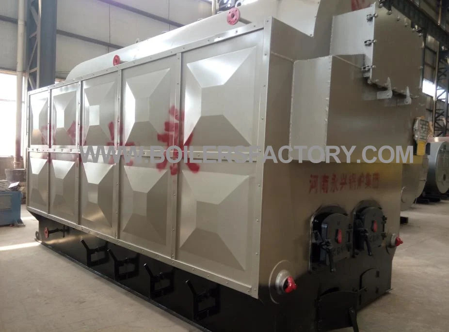 Coal and Biomass Fired Steam Boiler 2T 3T 4T 5T Capacity Steam Engine System for Rice Mill Automatic Feeding Low Emission
