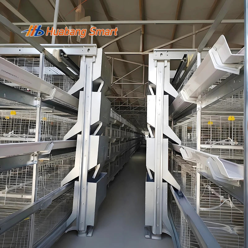 Commercial Broiler Chicken Cages Poultry Cage Modules Fully Automatic Broiler Cage System Large Scale Farm Use
