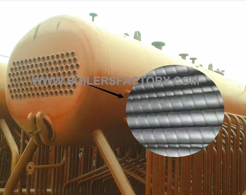 Coal and Biomass Fired Steam Boiler 2T 3T 4T 5T Capacity Steam Engine System for Rice Mill Automatic Feeding Low Emission