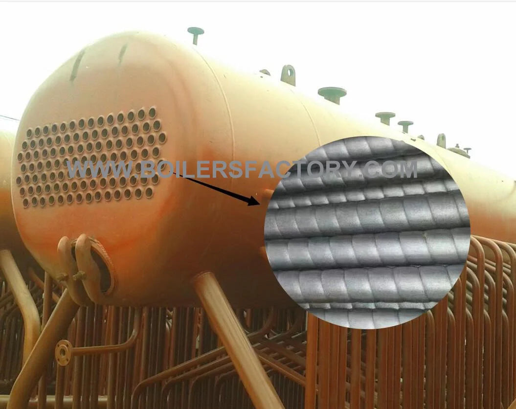 Coal and Biomass Fired Steam Boiler 2T 3T 4T 5T Capacity Steam Engine System for Rice Mill Automatic Feeding Low Emission