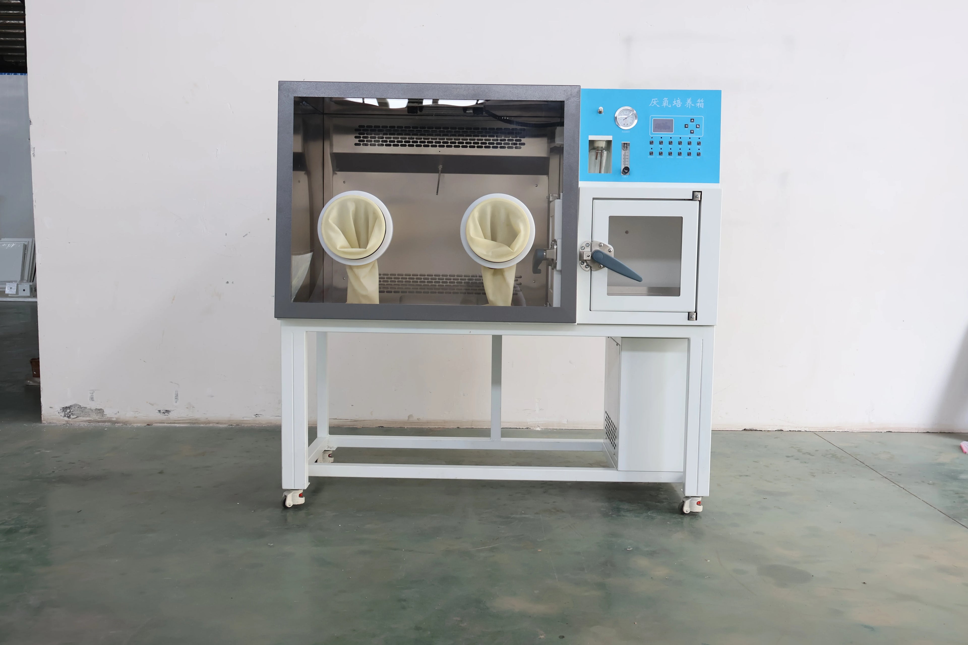 Anaerobic Incubator With Anoxic Environment For Laboratory And Factory Use Laboratory Constant Temperature Equipment
