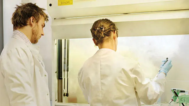 LaboratoryExhaust Hoods  Fume Cupboards Chemical Biological All Steel Ducted Fume Cabinets Stainless Steel Worktop Fume Hood