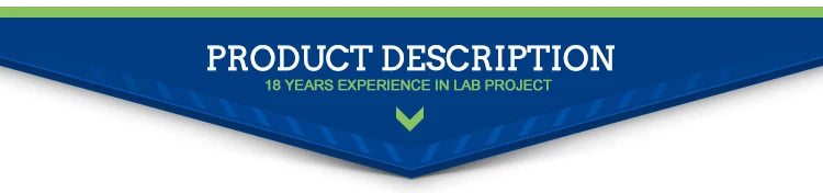 Laboratory Furniture Biology Bench C-Frame Lab Island Table With Sink And Reagent Shelf