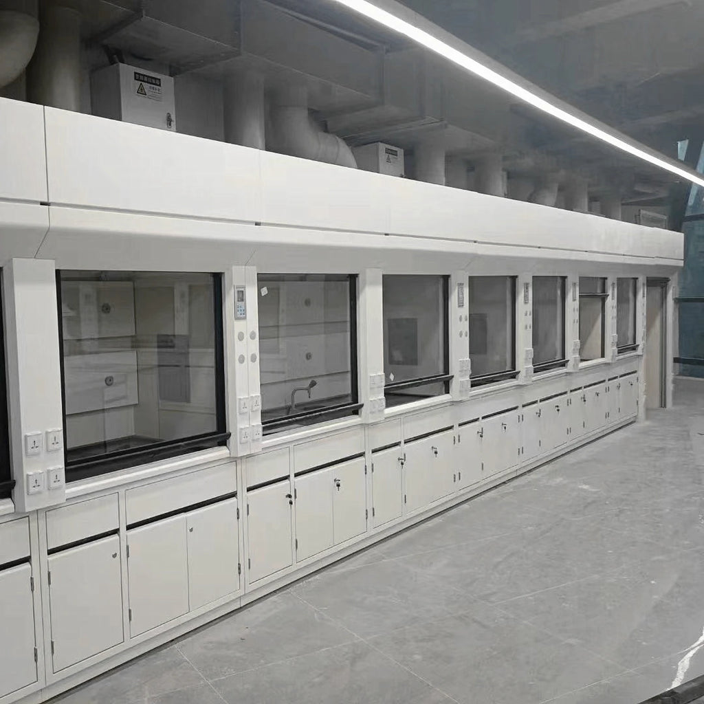 Modern Industrial Steel Laboratory Ventilation Hood Corrosion-Resistant Ducted Fume Chamber Hospital Biology Factory University