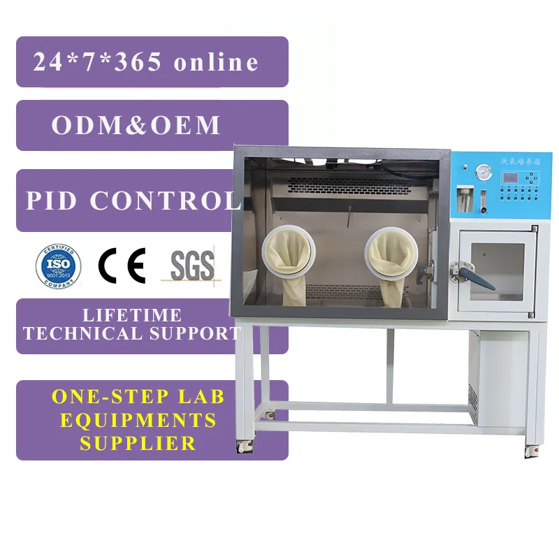 Anaerobic Incubator With Anoxic Environment For Laboratory And Factory Use Laboratory Constant Temperature Equipment