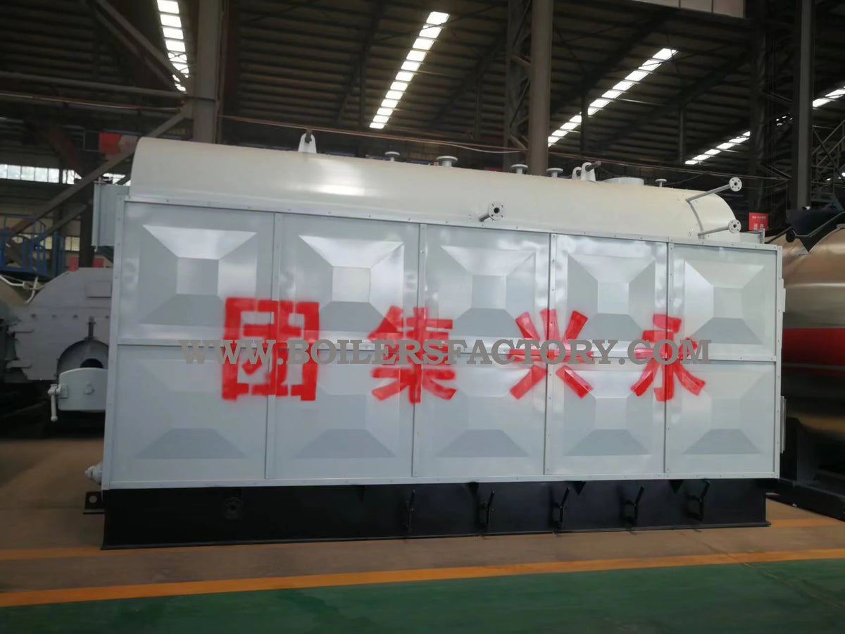 Coal and Biomass Fired Steam Boiler 2T 3T 4T 5T Capacity Steam Engine System for Rice Mill Automatic Feeding Low Emission
