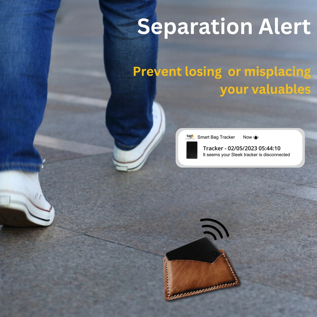 Dolphin Smart Tracker Sleek
